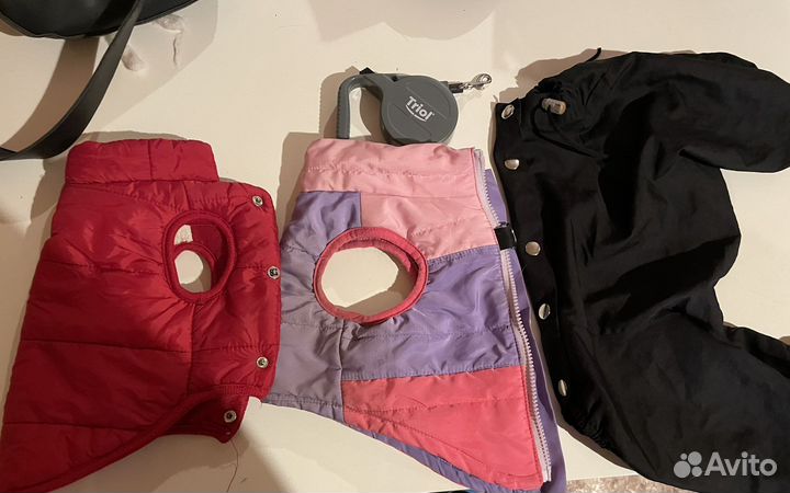 Одежда и рулетка для собак