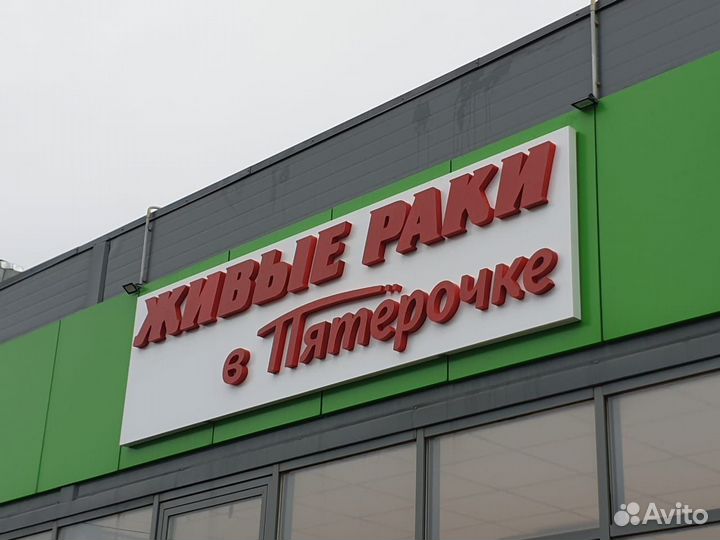 Наружная реклама всех видов, Ставрополь