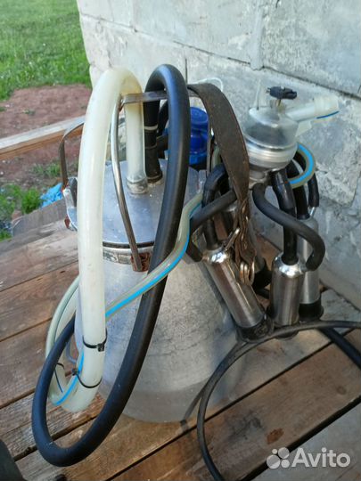 Доильный аппарат