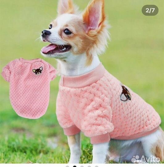 Одежда для собак(кошек) малого размера