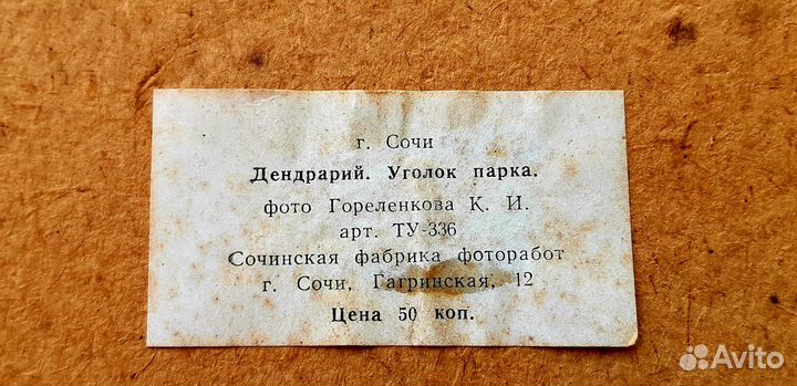 Фотопанно г.Сочи. Дендрарий, уголок парка СССР