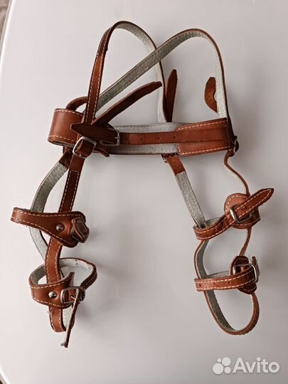 Стремена павлика