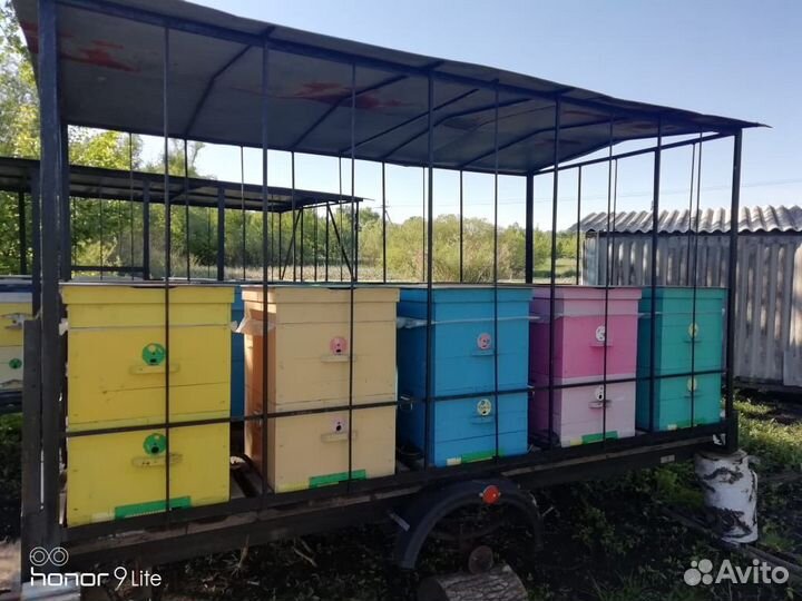 Улья двухьярусные 20 шт с пчелами и 2 прицепа