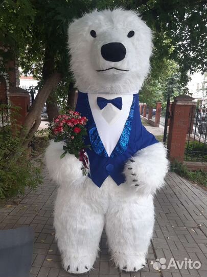 Экспресс-поздравление Белый мишка,Бурый