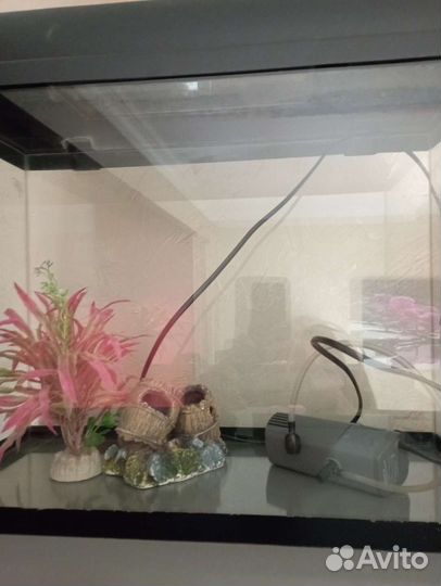 Аквариум