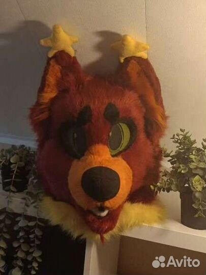 Фурсьют собака