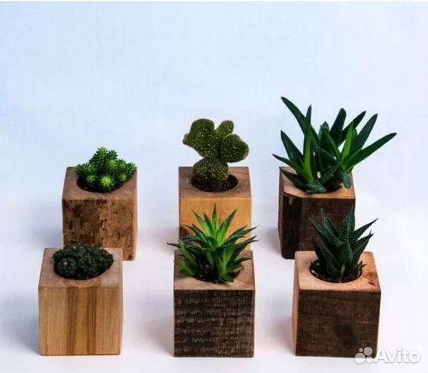 Кашпо для цветов