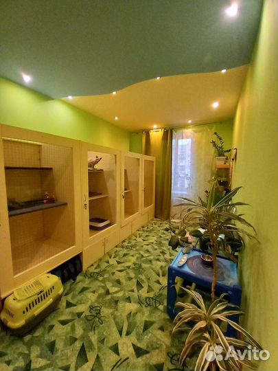 Зоо гостиница 