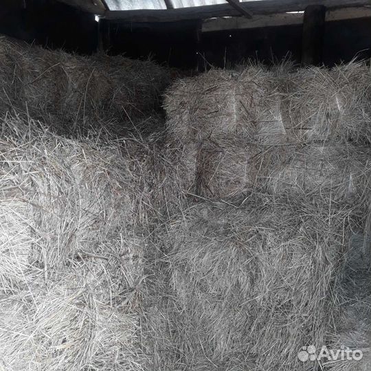 Сено в тюках