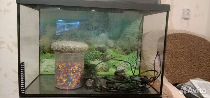 Аквариум