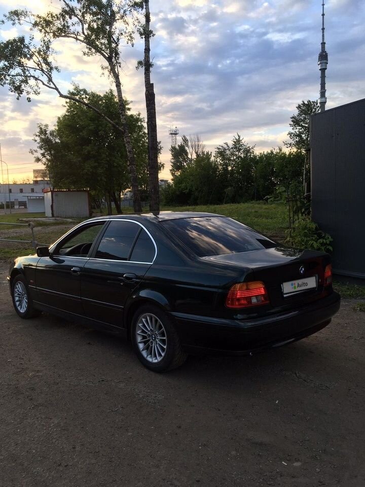 BMW 5 серия: фото владельца