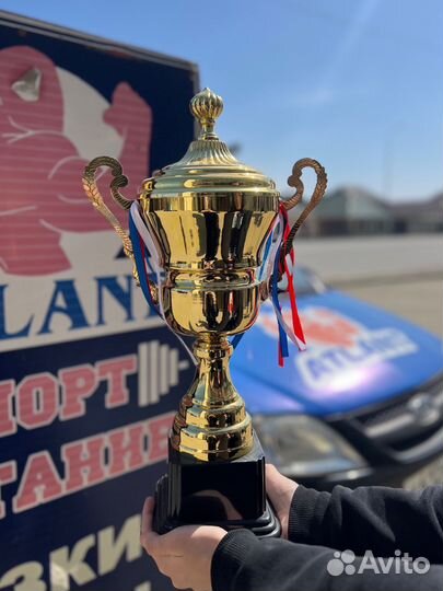 Кубок спортивный,подарочный