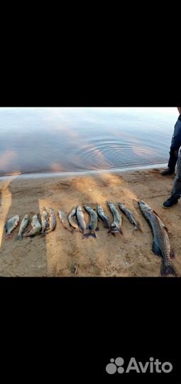 Отдых семьёй в Карелии на берегу Сямозера