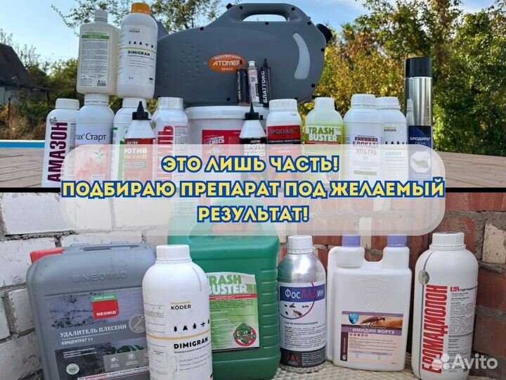 Дезинфекция. Уничтожение насекомых, плесени