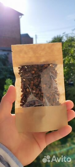 Пыльца, перга, прополис, мини-соты