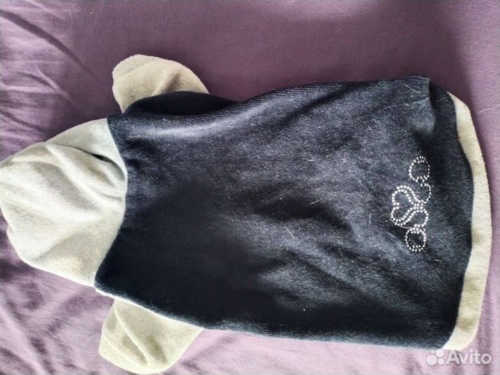 Толстовка для собак