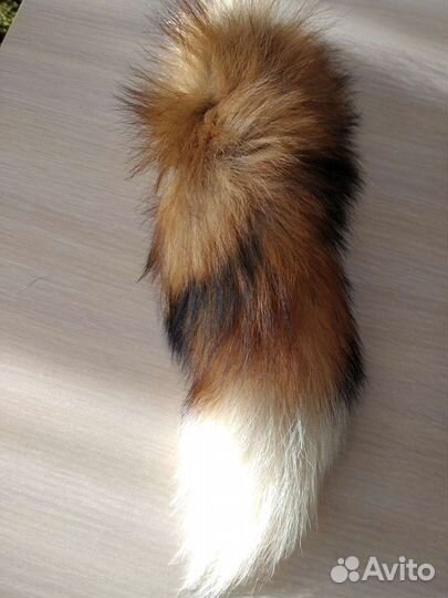 Хвост енота