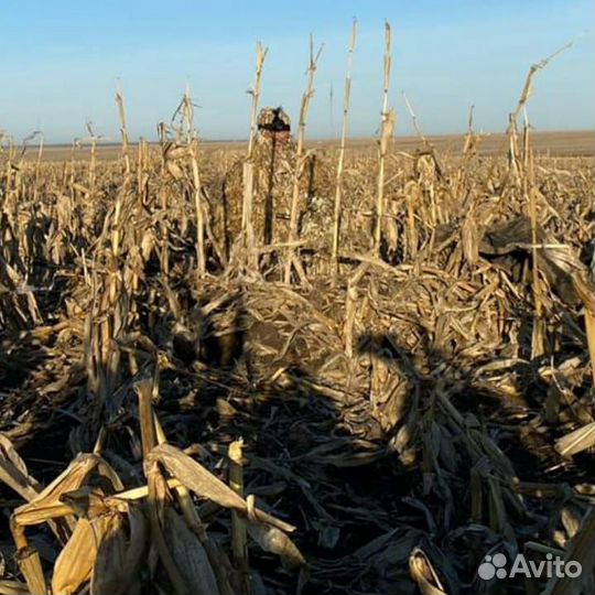 Маскировочные халаты от Дмитрия Уварова для охоты