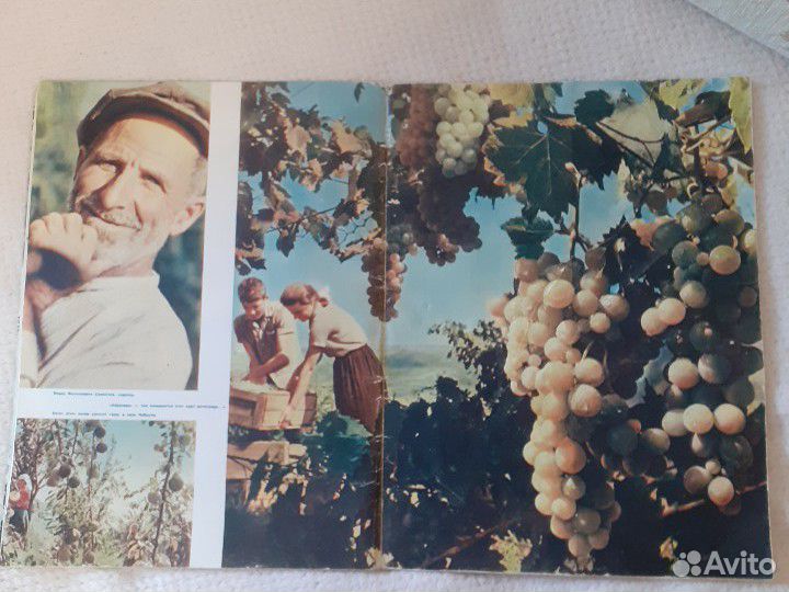 1962 год, журнал Огонек #42, сентябрь