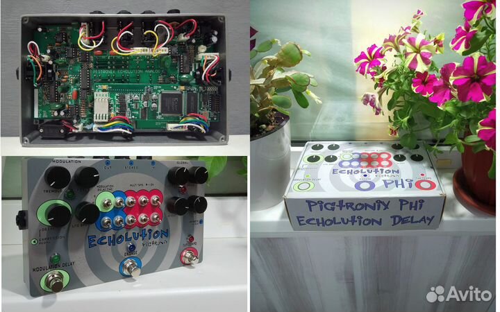 Pigtronix Echolution Delay Phi USA