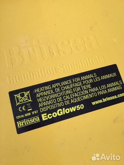 Брудер для цыплят,гусят,перепелят,индюшат и утят