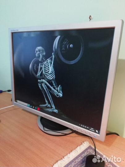 Монитор samsung syncmaster 203В