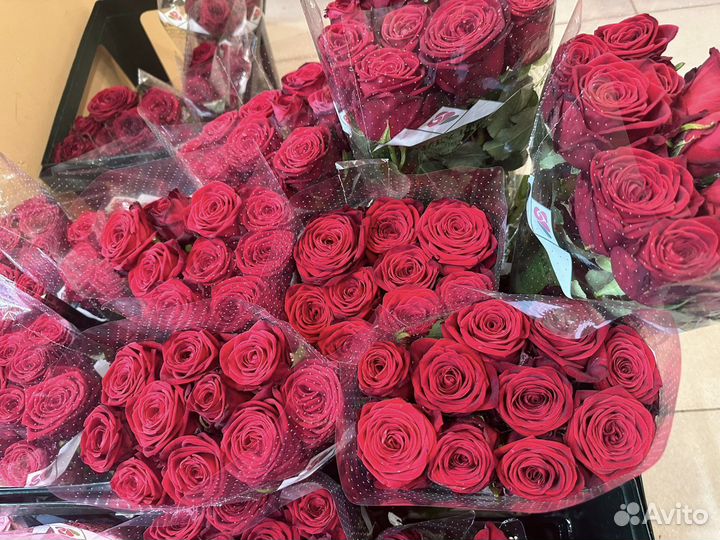 Букет из 51 розы 60см с офомлением