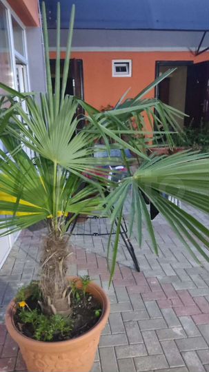 Комната 12 м², 1/3 эт.