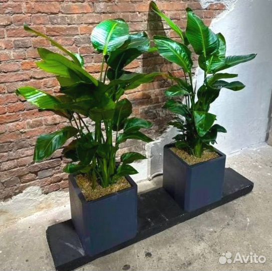 Кашпо с имитацией бетона