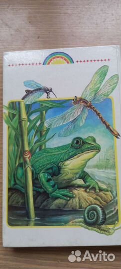 Родичок 2 кл+По странам и континентам