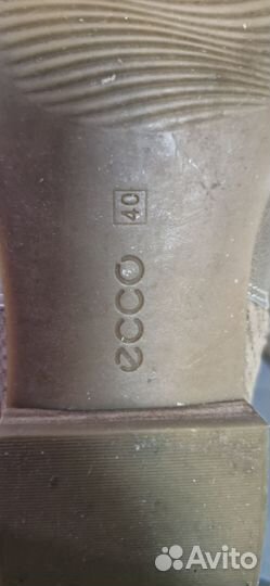 Полусапоги женские 40 размер Ecco