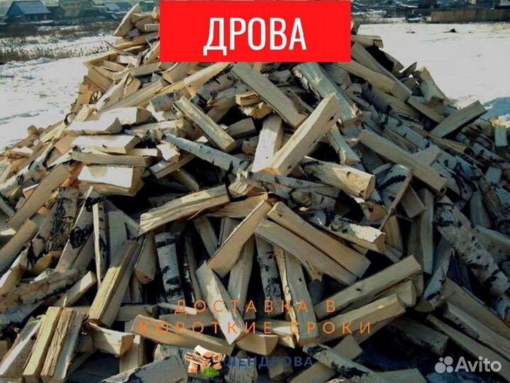 Дрова березовые