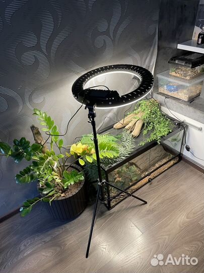 Кольцевая лампа 54 см со штативом