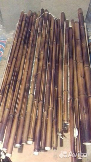 Бамбуковые стволы, Бамбук