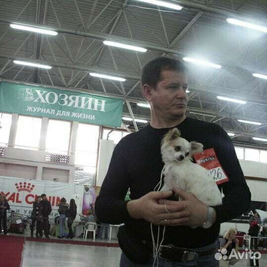 Домашняя передержка в Галицино Адлерский район