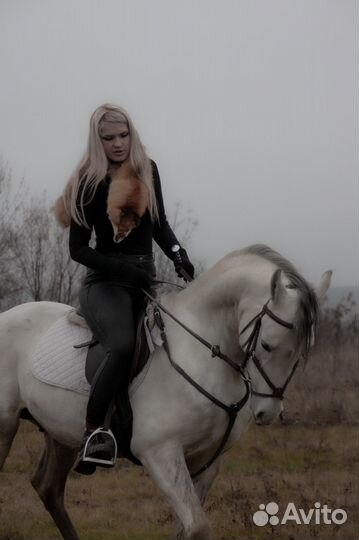 Продам лошадь