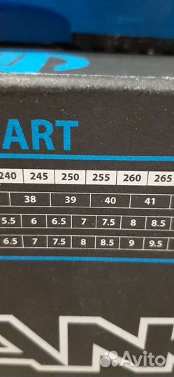 Горнолыжные ботинки