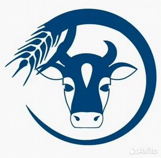 Бухгалтер для ип