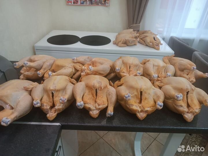 Домашний бройлер