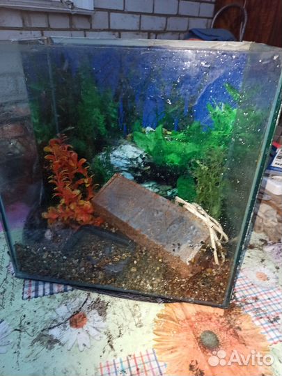 Аквариум