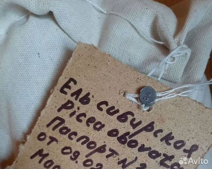 Семена лиственницы от производителя