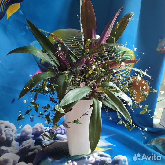 Композиция