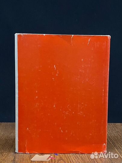 Дерево свободы