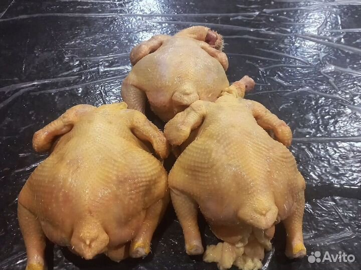 Куры халяль