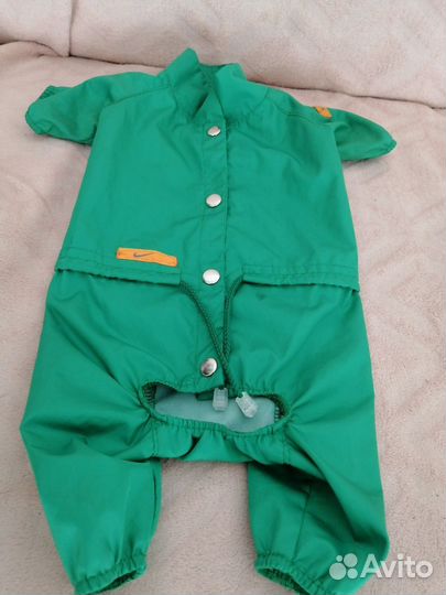 Одежда для мелкой собачки