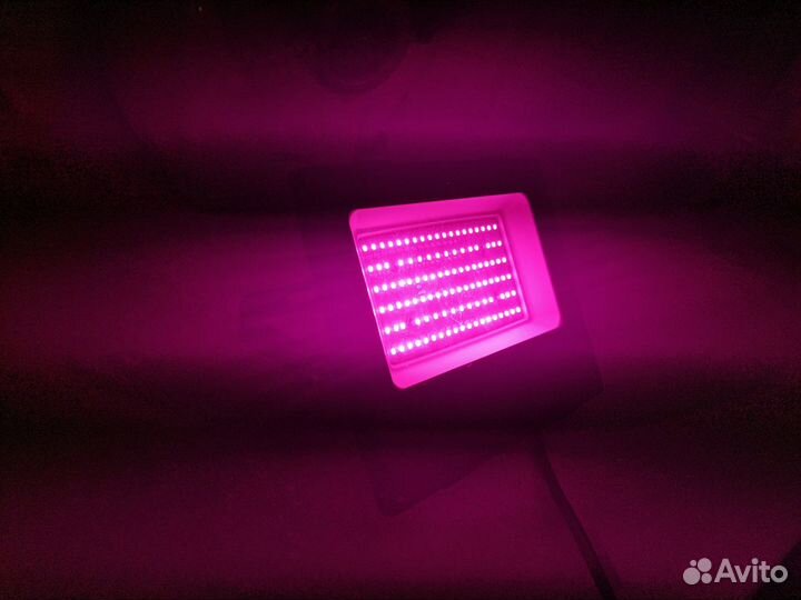 Фитолампа для растений