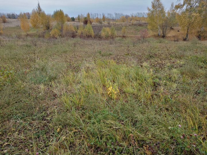 Участок 27 сот. (ИЖС)