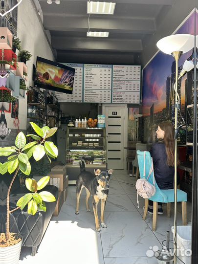 Бариста график 3/1 либо 2/2