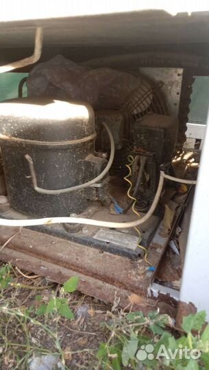 Холодильник витрина Рабочая