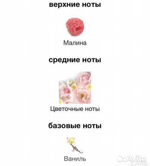 Avon,Perceive Soleil,Petit attitude,Secret Star